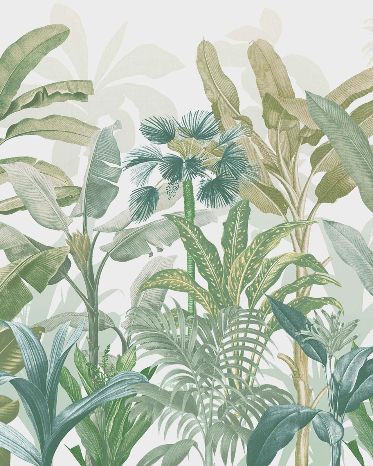 Congo Sage Bespoke Mural - 120280_TILE_01.jpg