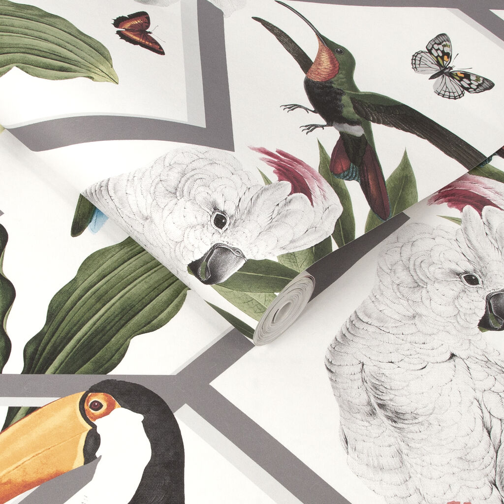 Perch White Wallpaper