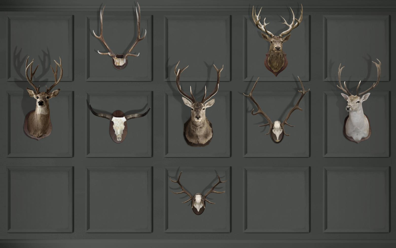 Manor House Bespoke Mural - 111897_TILE_01.jpg