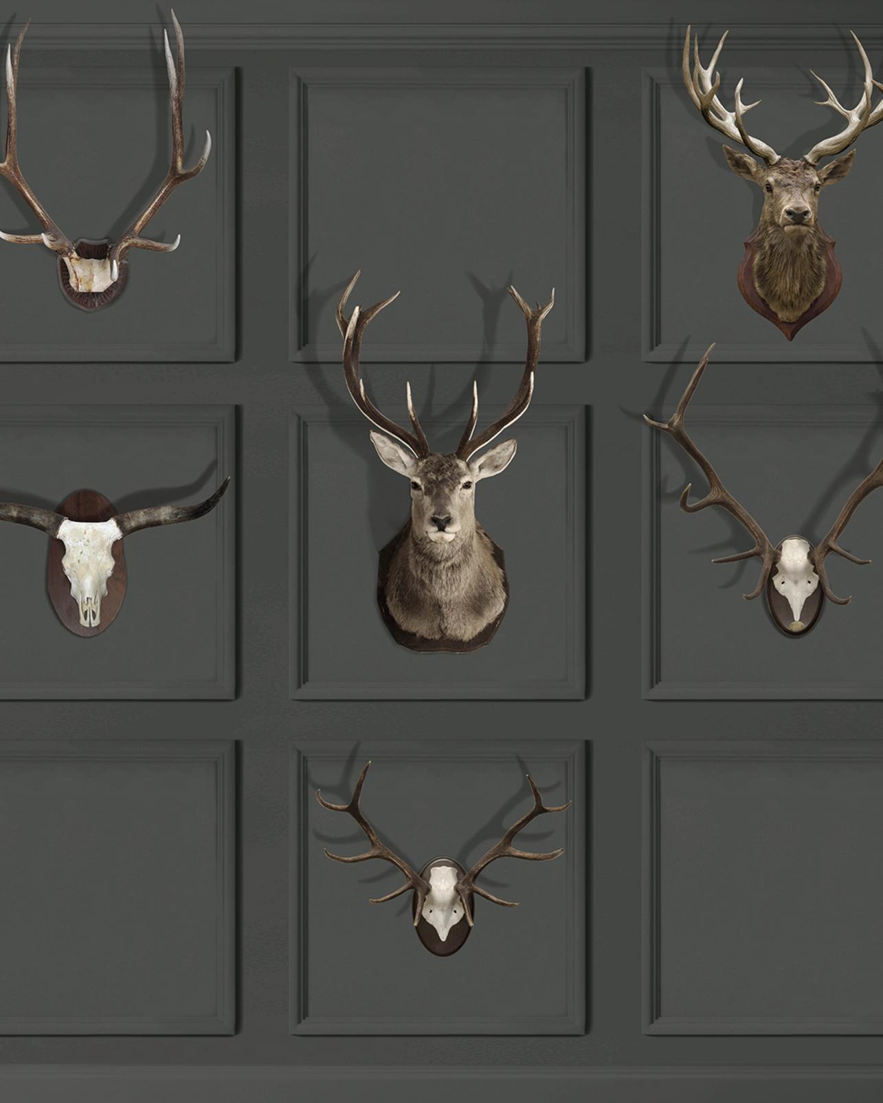 Manor House Bespoke Mural - 111897_TILE_01.jpg