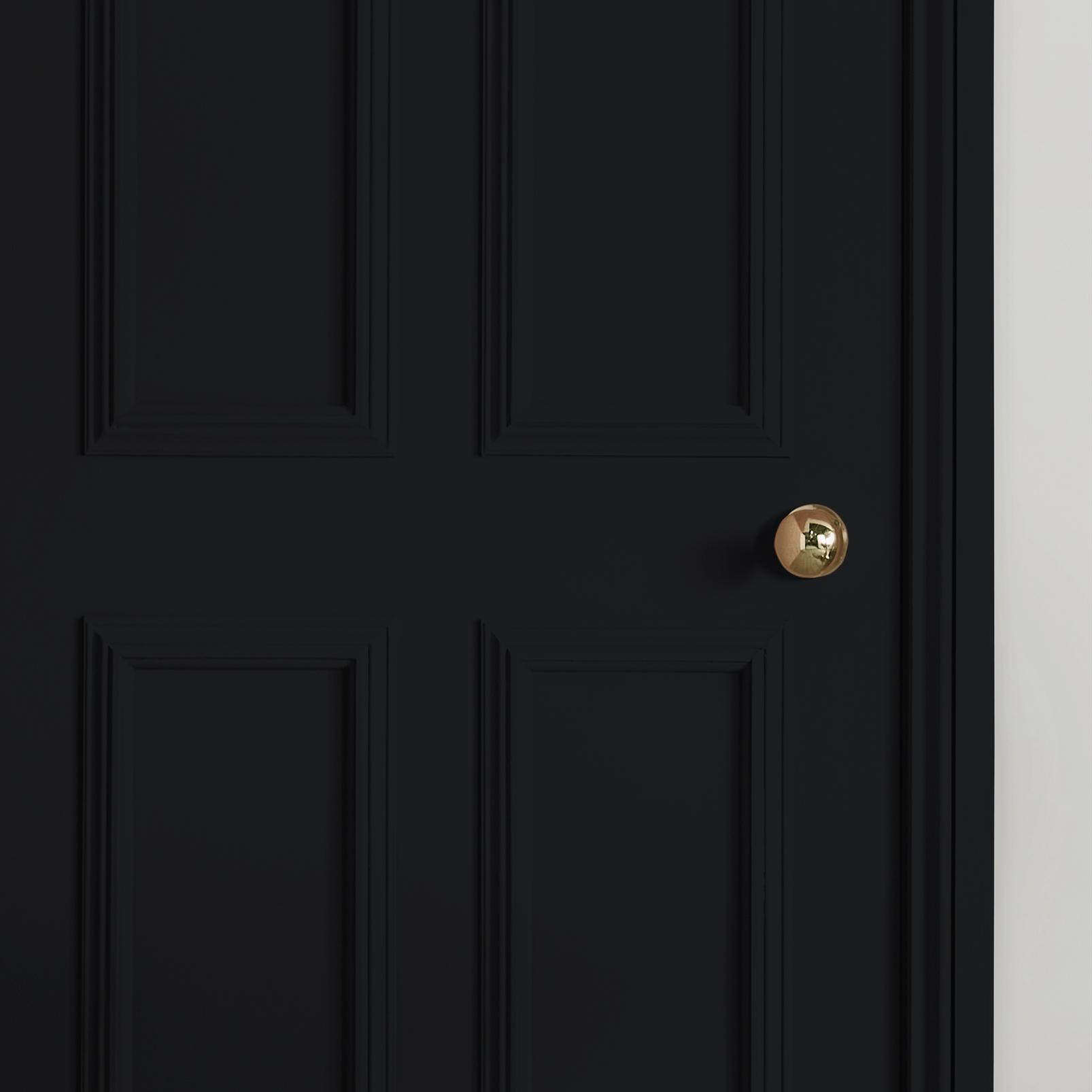 Trouble Painted door