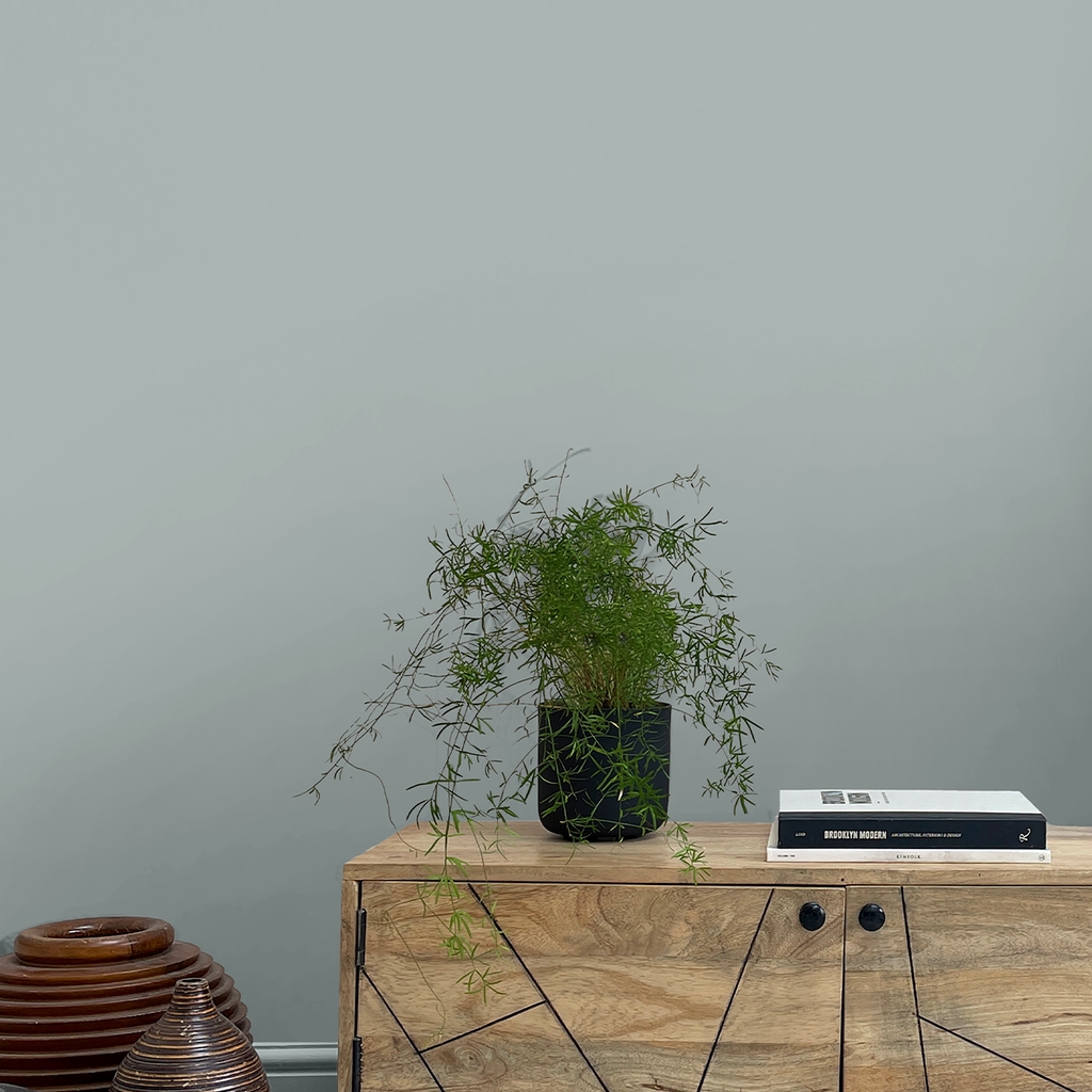 Indian Ink Paint in a Roomset