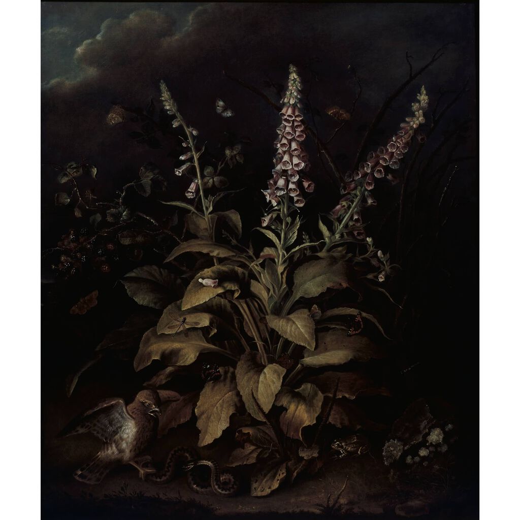 Weaver Foxglove and Brambles Fotobehang op maat